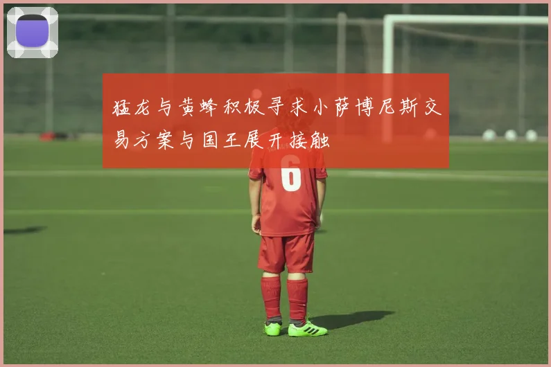猛龙与黄蜂积极寻求小萨博尼斯交易方案与国王展开接触