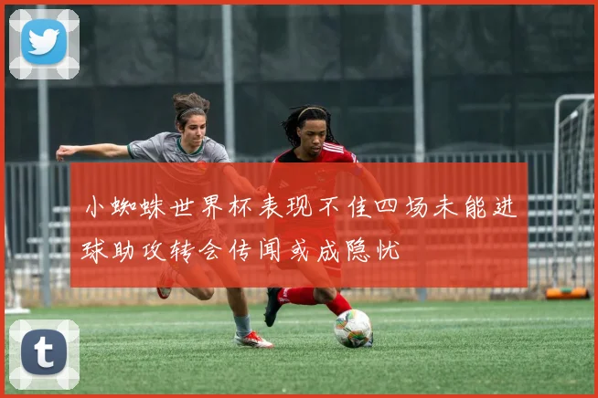 小蜘蛛世界杯表现不佳四场未能进球助攻转会传闻或成隐忧